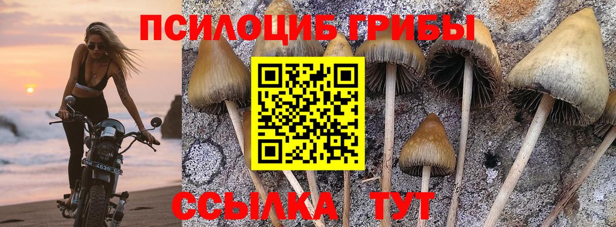 Галлюциногенные грибы Psilocybe  Галлюциногенные грибы ЛСД  Гай  Вход с VPN 